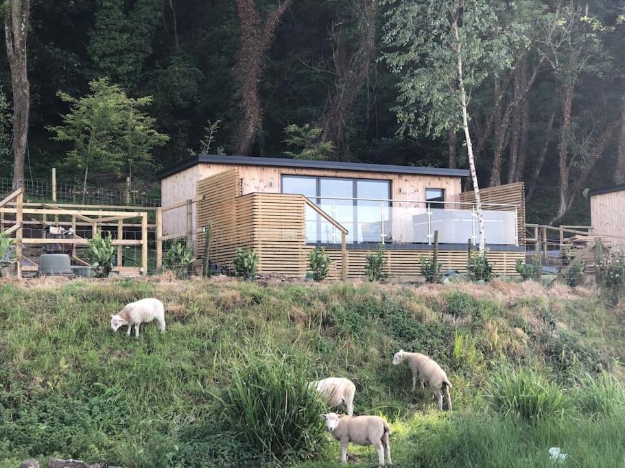Holiday home The Langland Bay Look Out